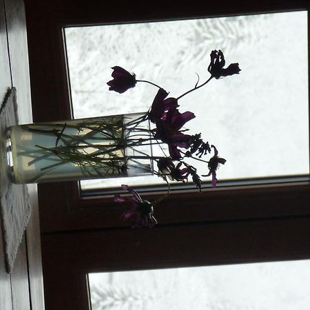 La Chouette A L'Heure Du Pinson Bed & Breakfast Saint-Pierre-d'Entremont  Cameră foto