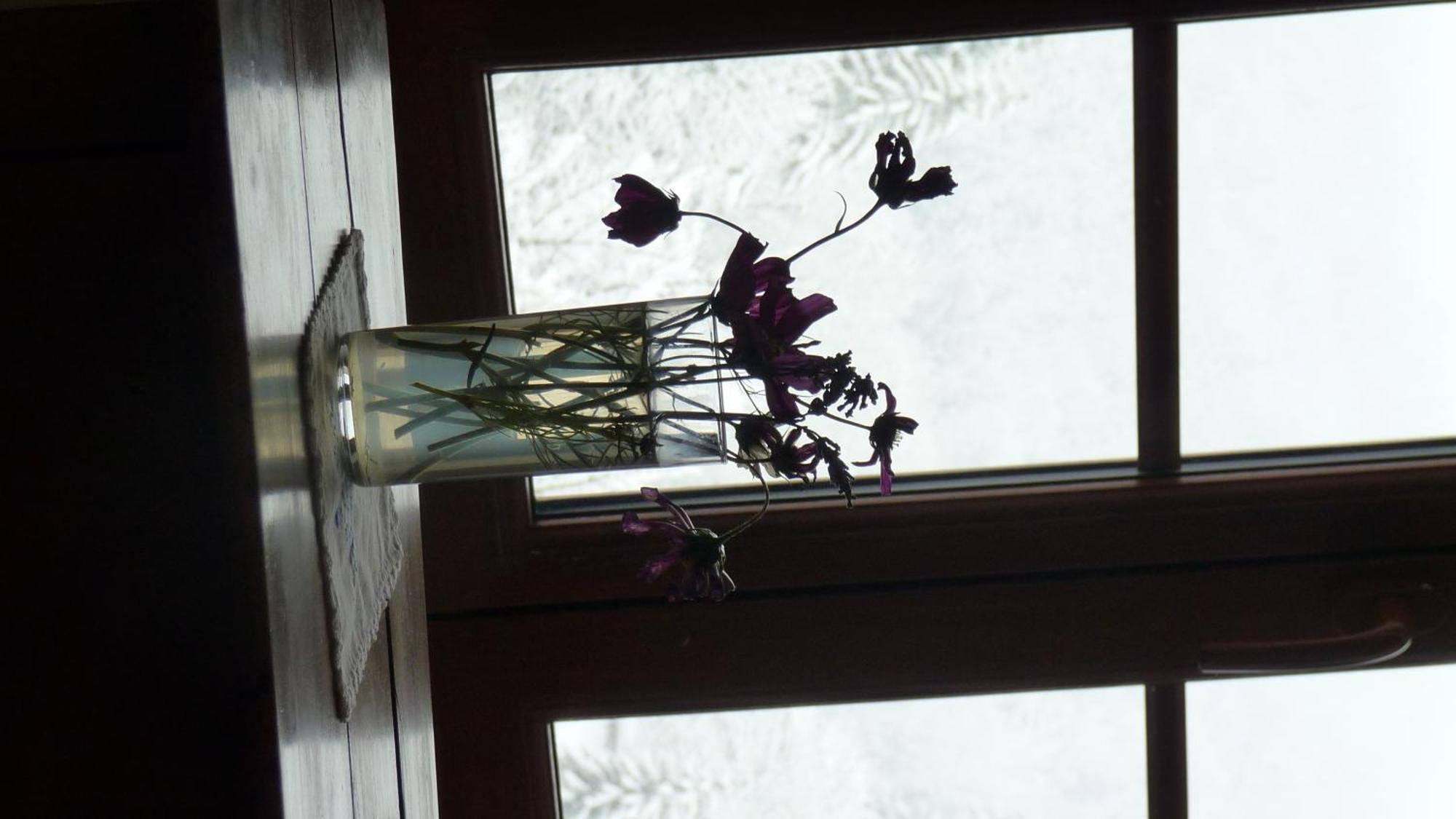 La Chouette A L'Heure Du Pinson Bed & Breakfast Saint-Pierre-d'Entremont  Cameră foto