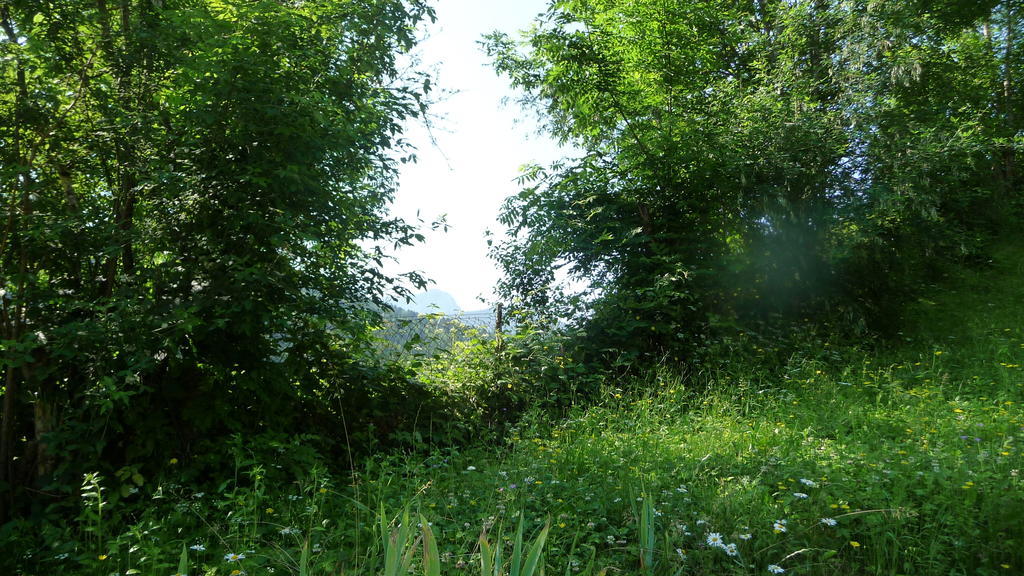 La Chouette A L'Heure Du Pinson Bed & Breakfast Saint-Pierre-d'Entremont  Exterior foto